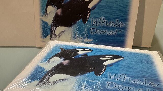 Whale Done Thank You Cards (10-pack)